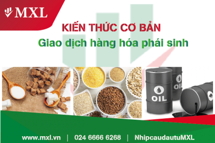Tìm hiểu về giao dịch hàng hóa phái sinh
